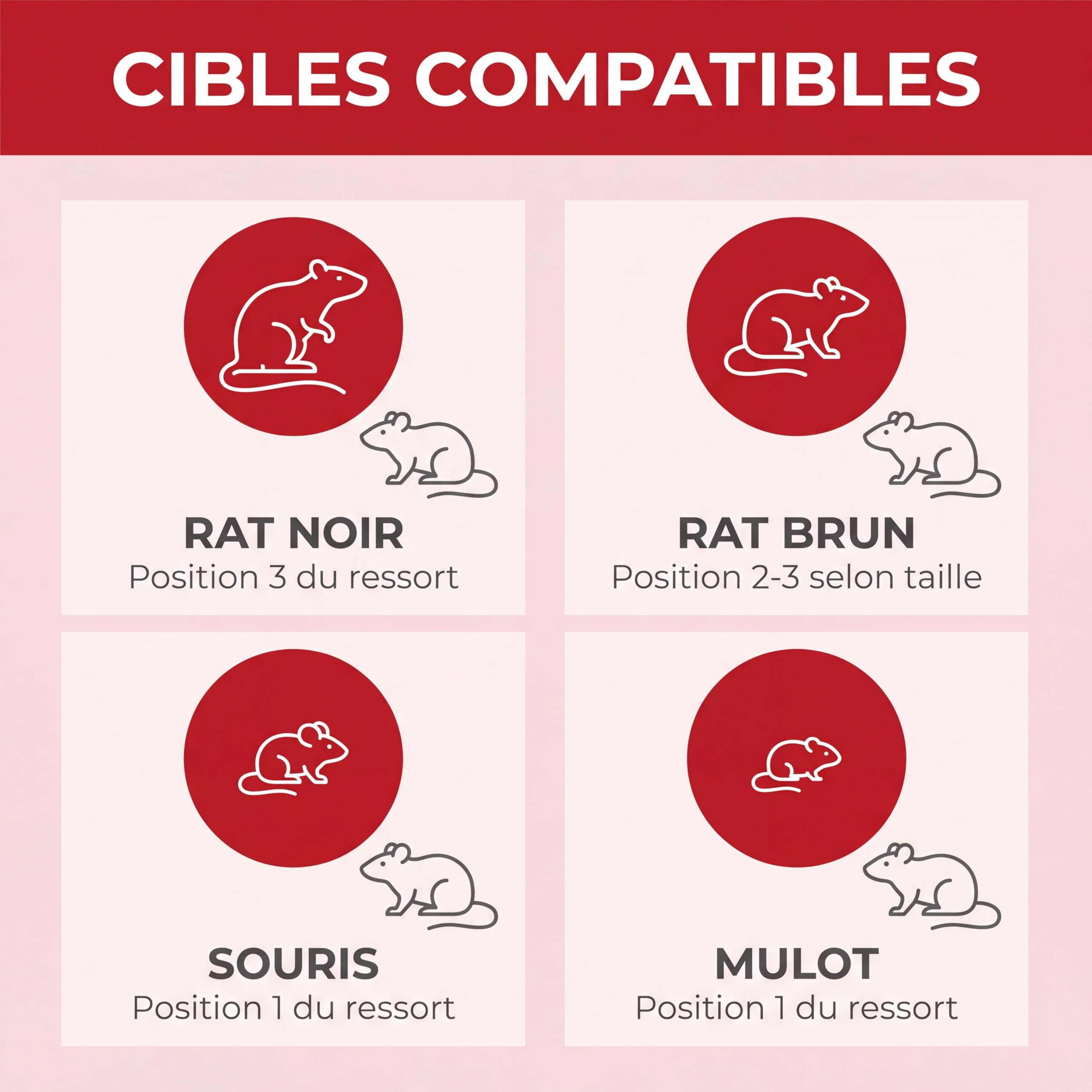 Excellium Professionnel tapette rats transparente