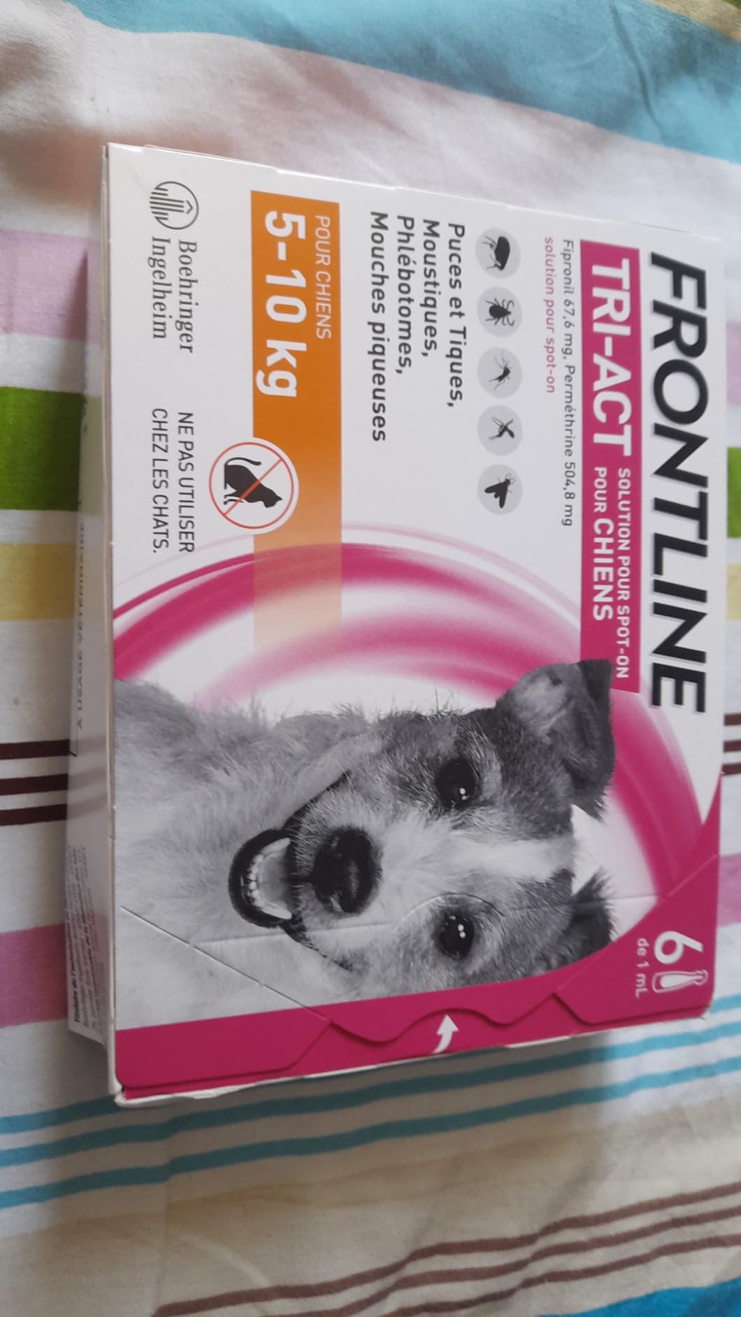 Frontline Tri-Act S pipettes chien 5-10 kg 6 pipettes 5 parasites