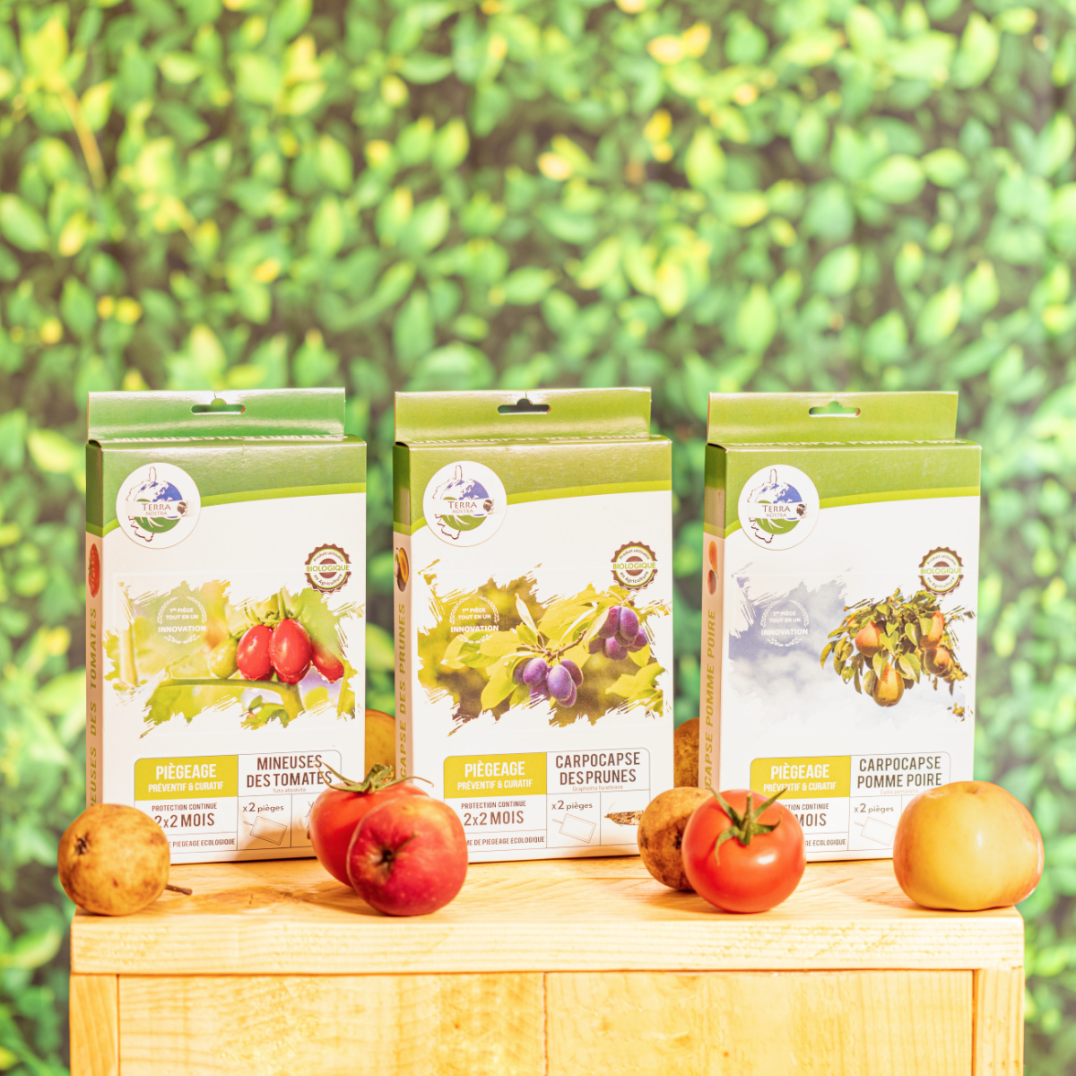 Terra Nostra Carpocapse des Prunes piège x2 plaques