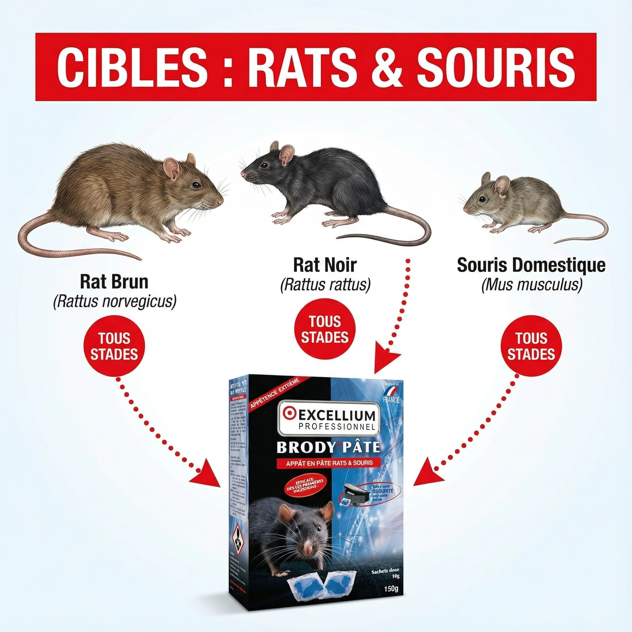 Excellium Brody’Pâte appât rats souris 150g poste inclus