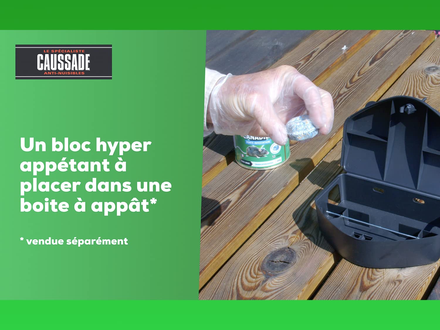 Caussade Raticide Canadien 12 blocs flocoumafen raticide 300g rats