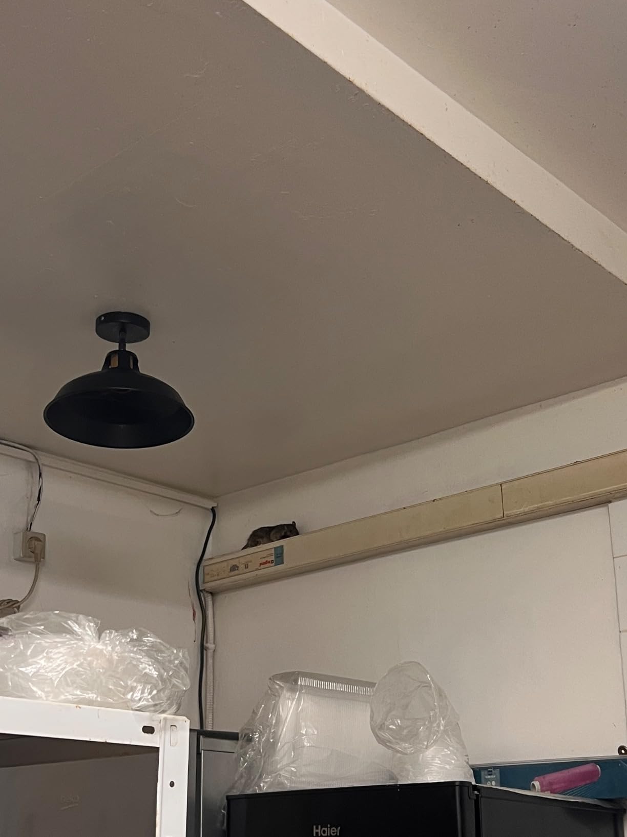 Caussade Anti-Souris PATAPPAT BRODI raticide pâtes 100g infestation