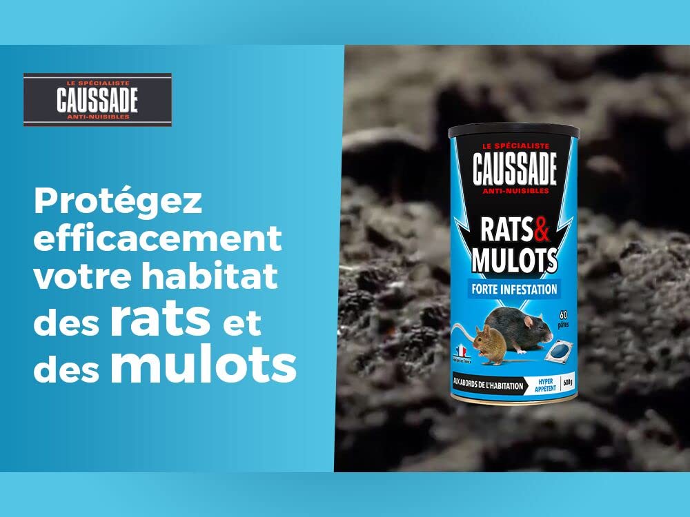 Caussade Anti Rats Mulots pâte 60 sachets 600 g