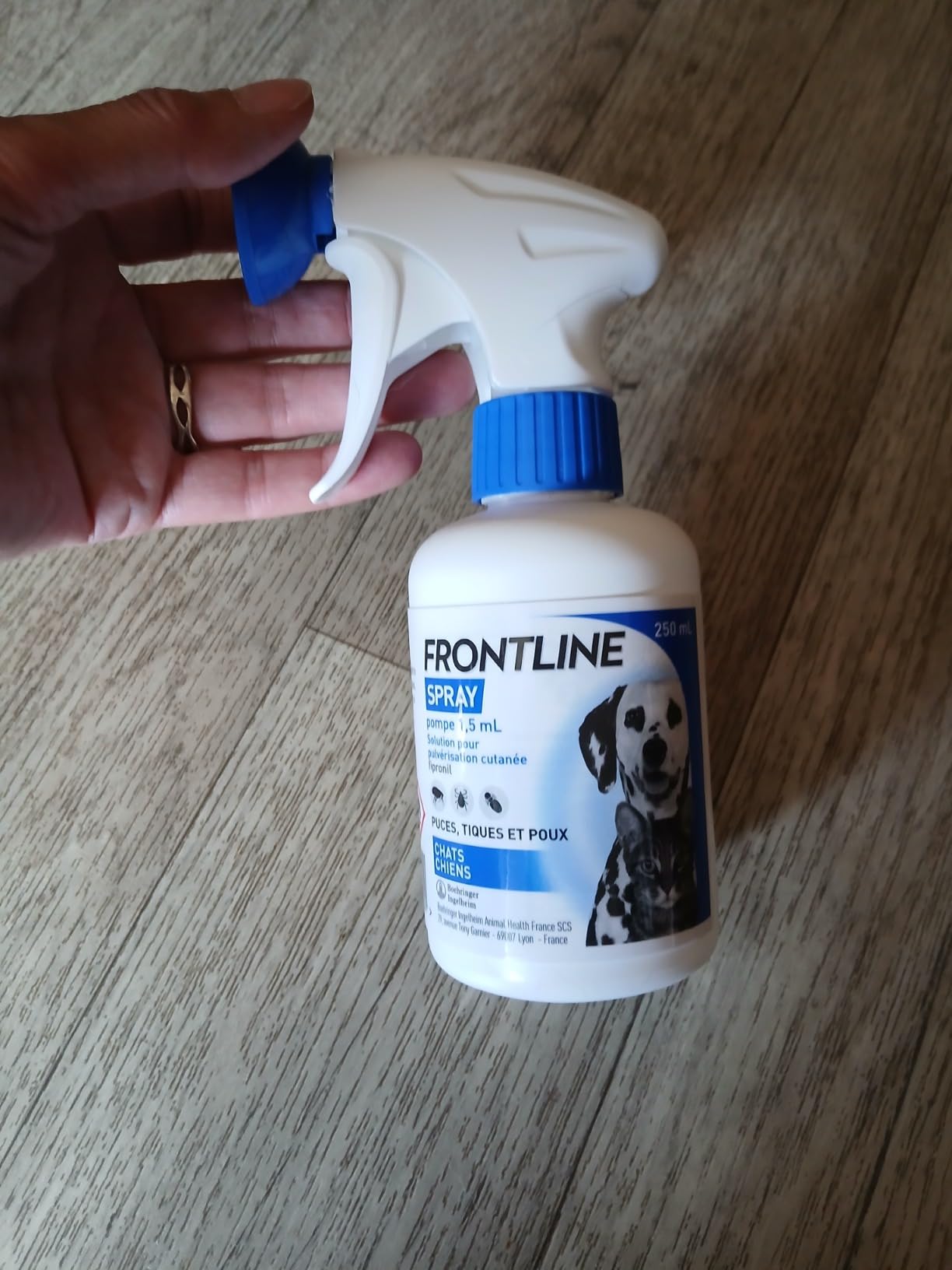 Frontline Spray antiparasitaire chien-chat 100ml infestation massive