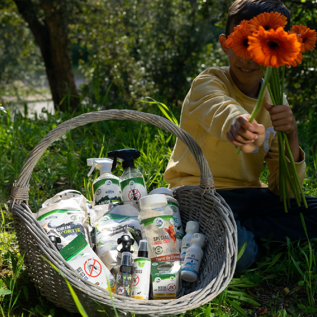 Terra Nostra Barrière Répulsive poudre anti-fourmis 300g géraniol