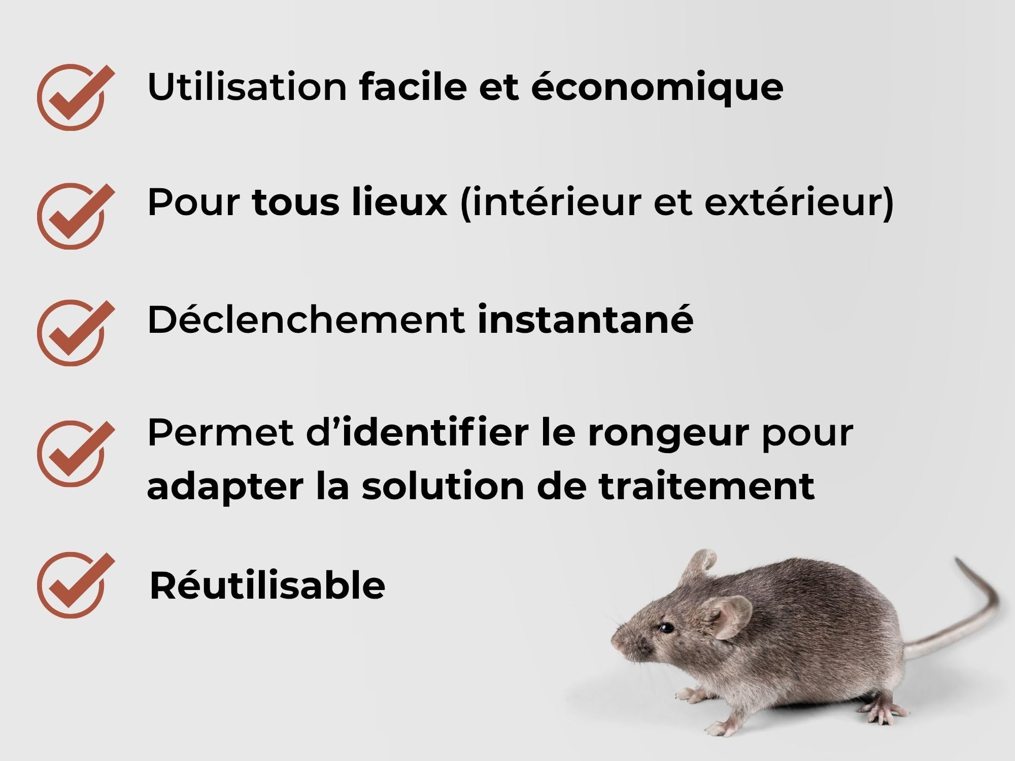 Caussade tapette à souris bois 10 x 4,7 cm 1 pièce réutilisable
