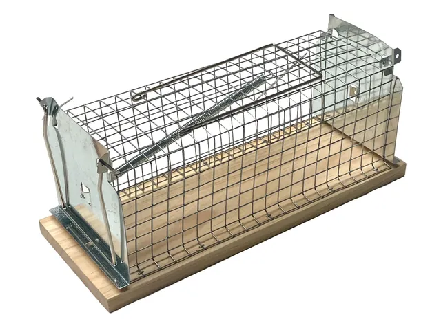 Caussade Nasse Rats 29 cm piège à rats bois vivant