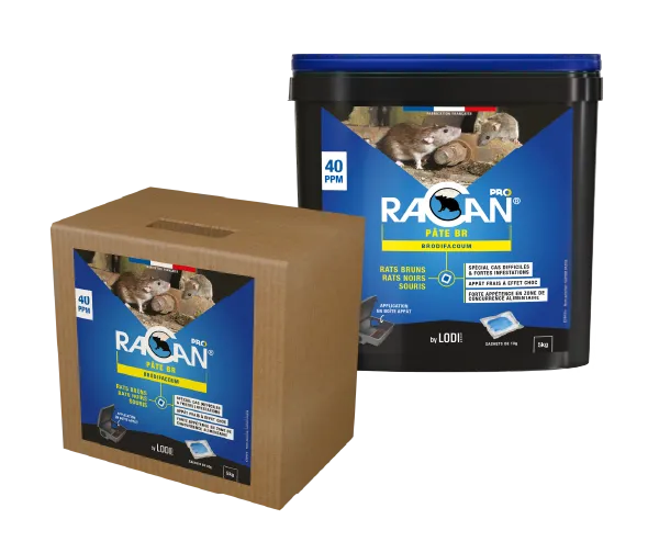 Aurodil Racan Pâte BR pâte fraîche 5 kg brodifacoum pro