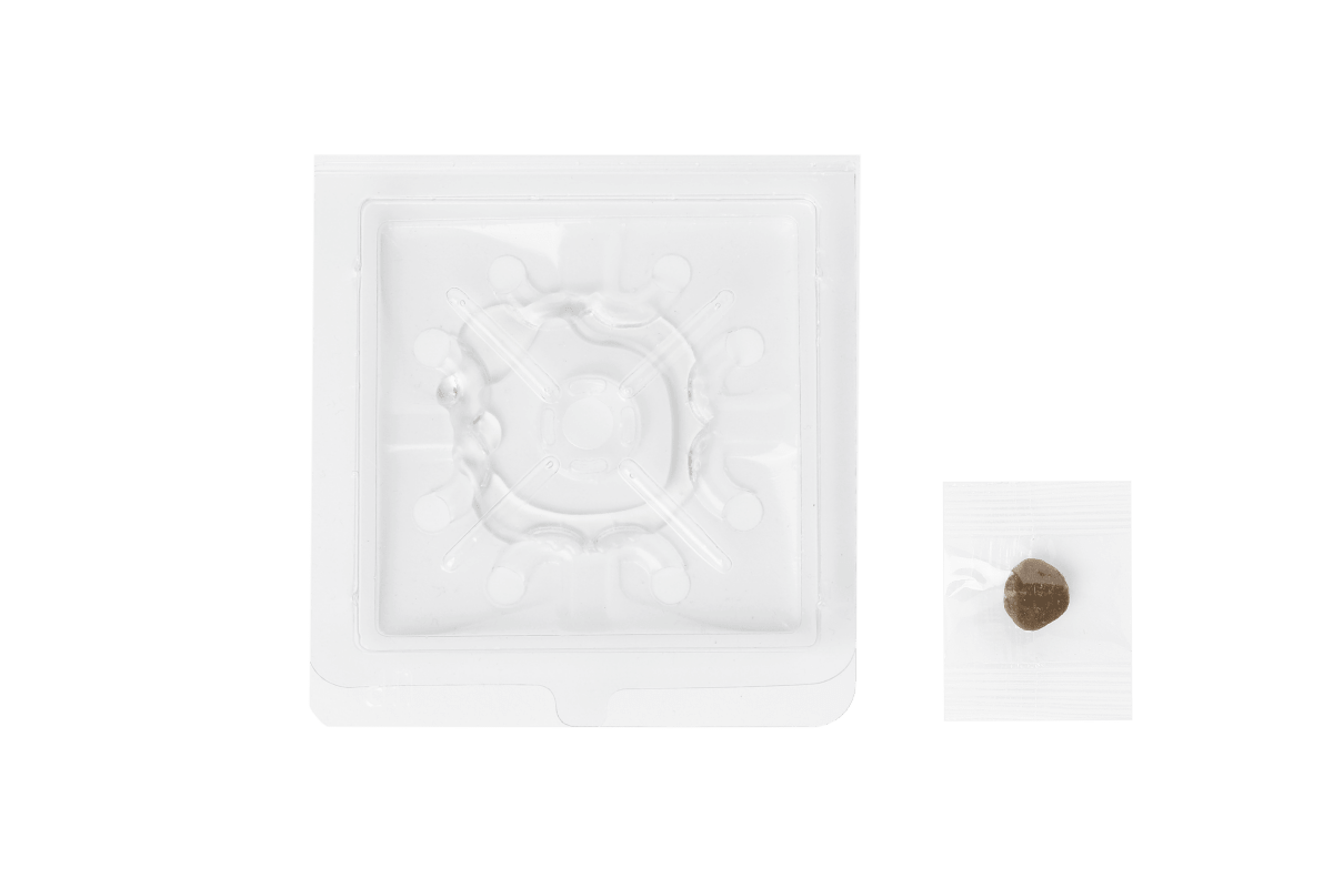 Terra Nostra Piège Poisson d'Argent Plaque x2 Sans insecticide