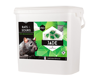 Phobi Jade pâte raticide 5 kg anti-souris et rats