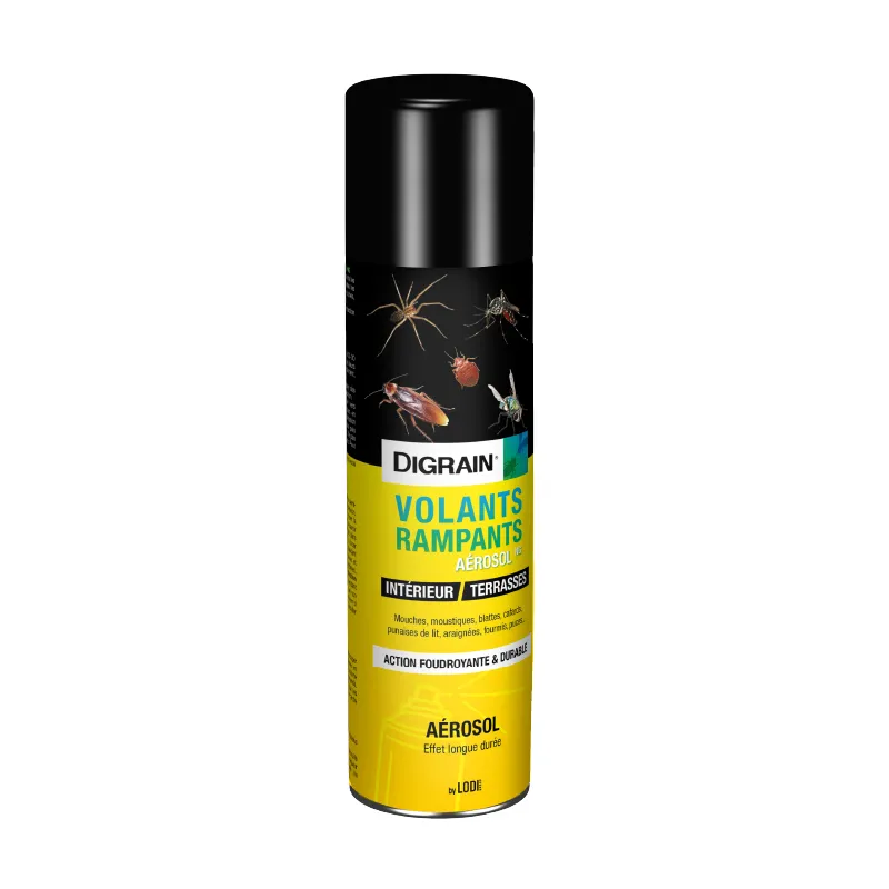 Digrain NG aérosol insecticide volants rampants