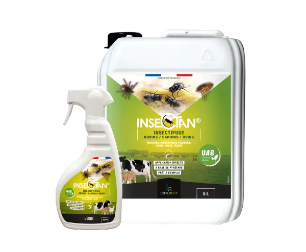 Aurodil Insectan insectifuge bovins spray 750 ml mouches