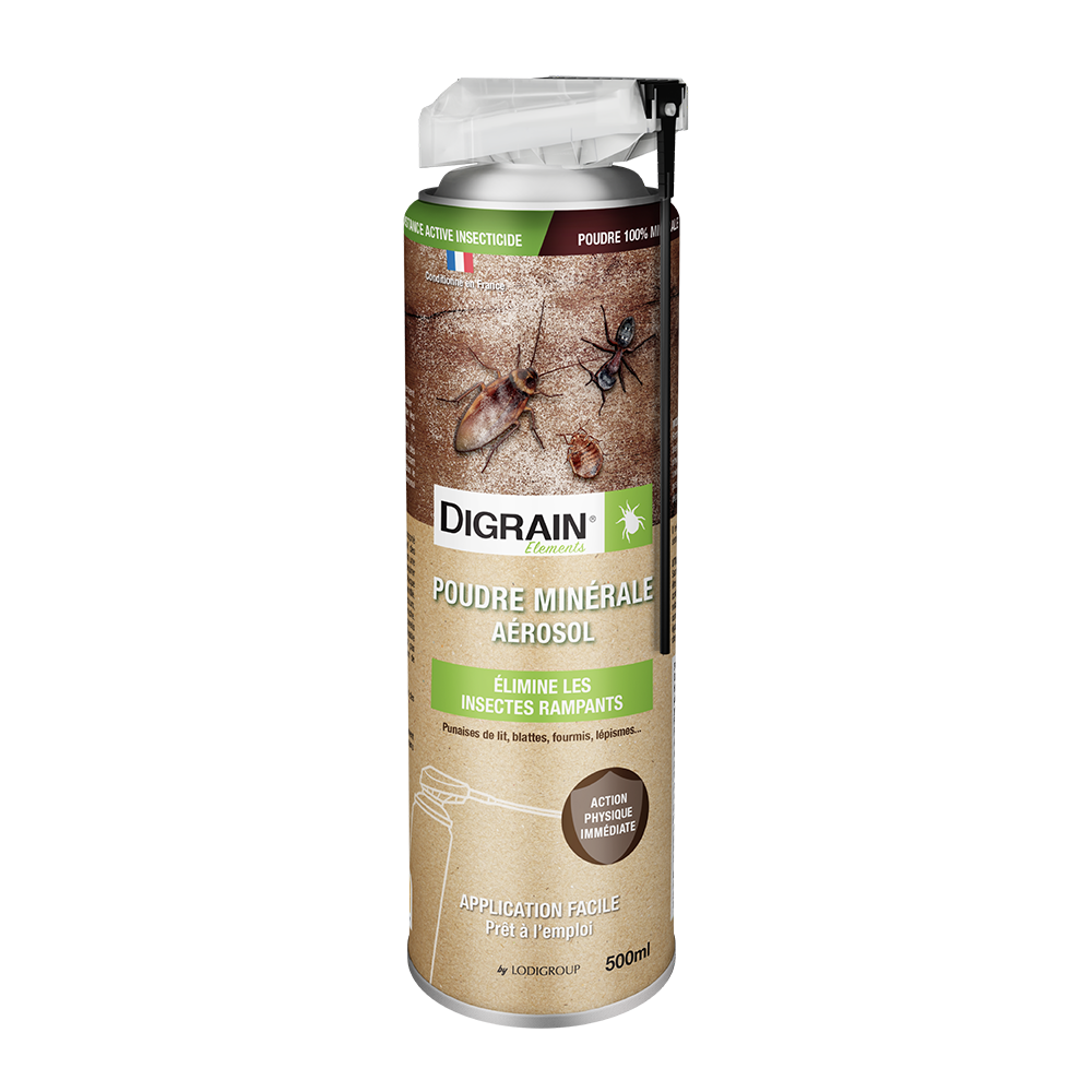 Digrain Poudre Minérale aérosol insecticide