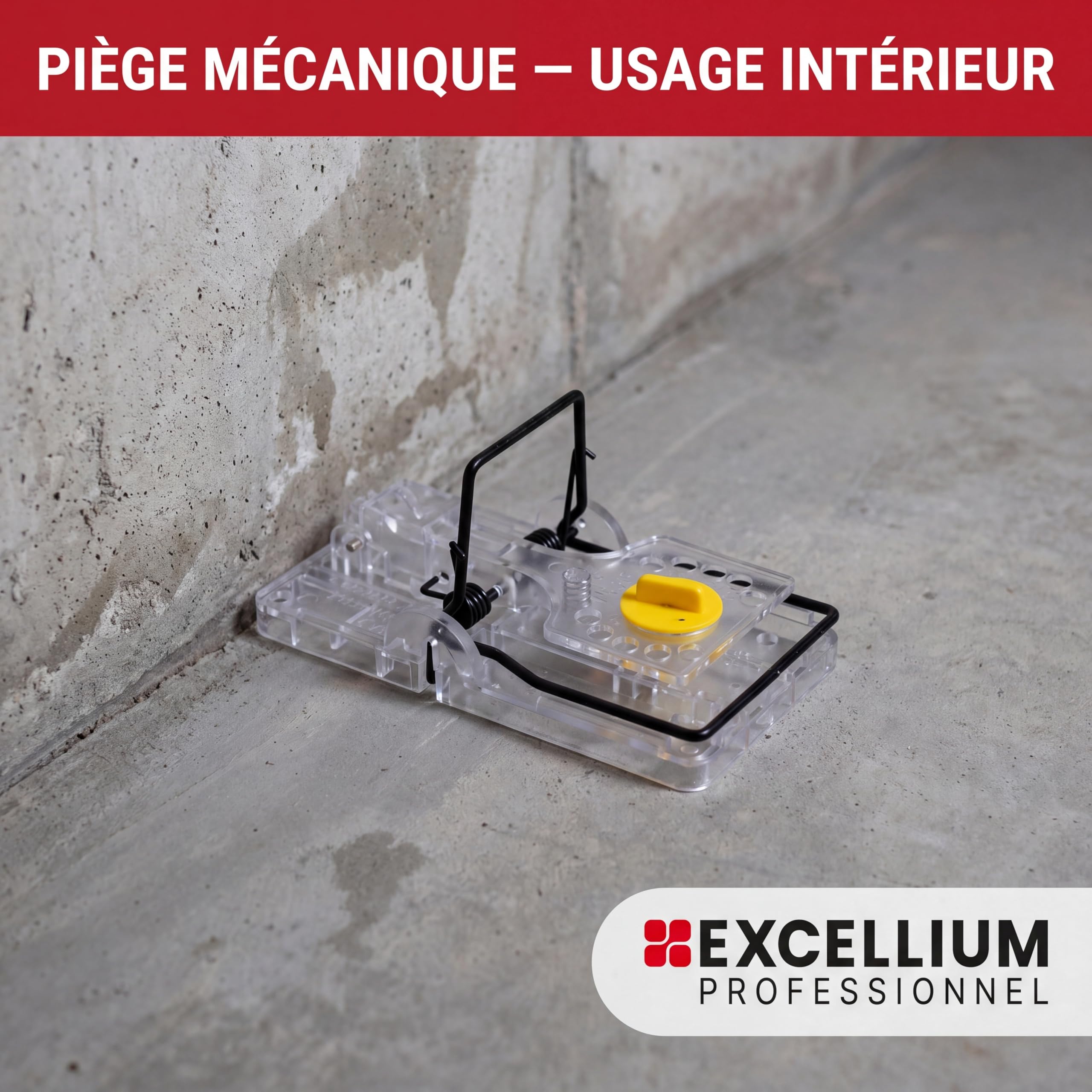 Excellium Professionnel tapette rats transparente