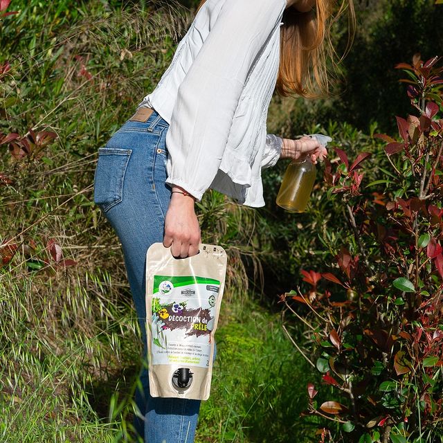 Terra Nostra Décoction de Prêle Concentré 1,5 L Fongicide