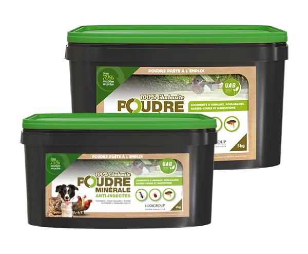 Aurodil poudre minérale anti-insectes 2 kg punaises