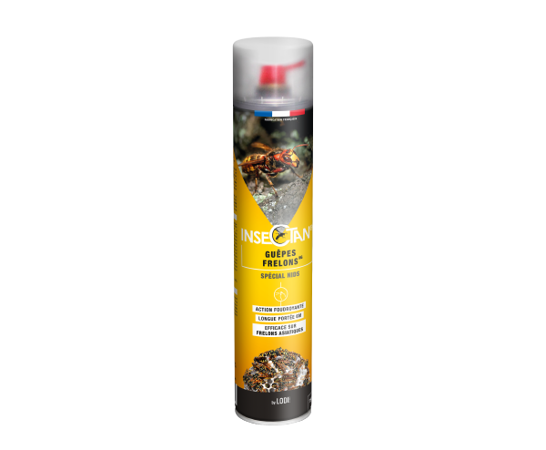 Aurodil Insectan Guêpes et Frelons NG insecticide aérosol 750 ml