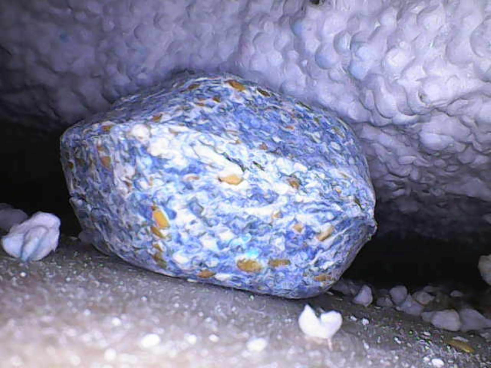 Caussade blocs pâte rats souris 12 blocs 300 g flocoumafen
