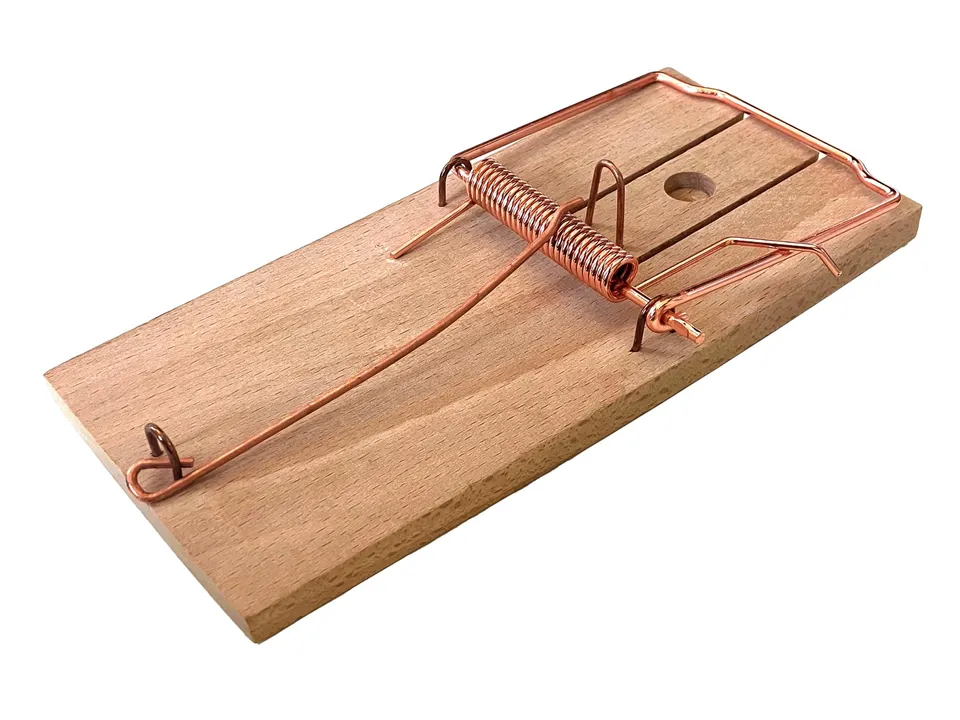 Caussade tapette à souris bois 10 x 4,7 cm 1 pièce réutilisable