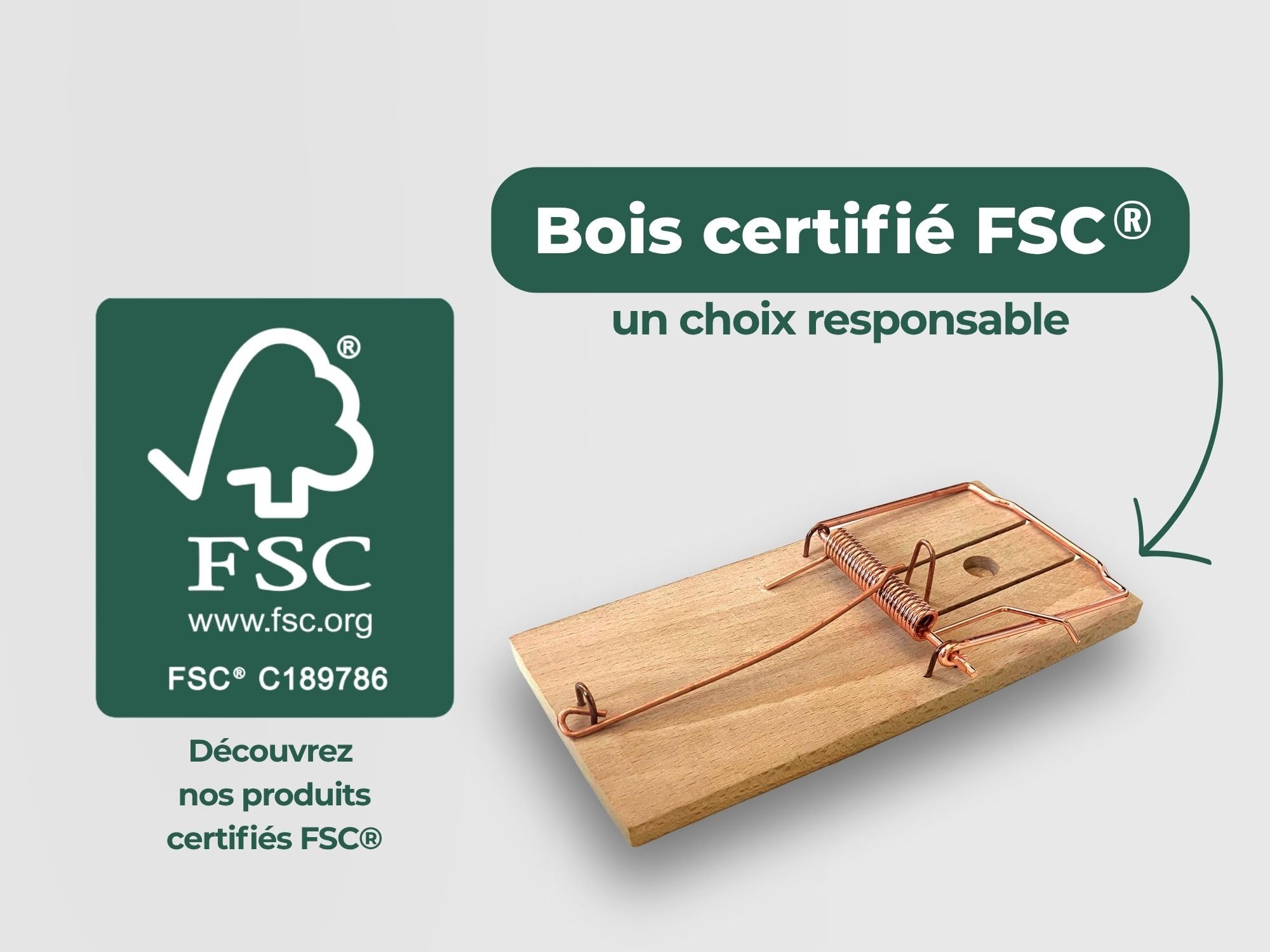 Caussade tapette à souris bois 10 x 4,7 cm 1 pièce réutilisable