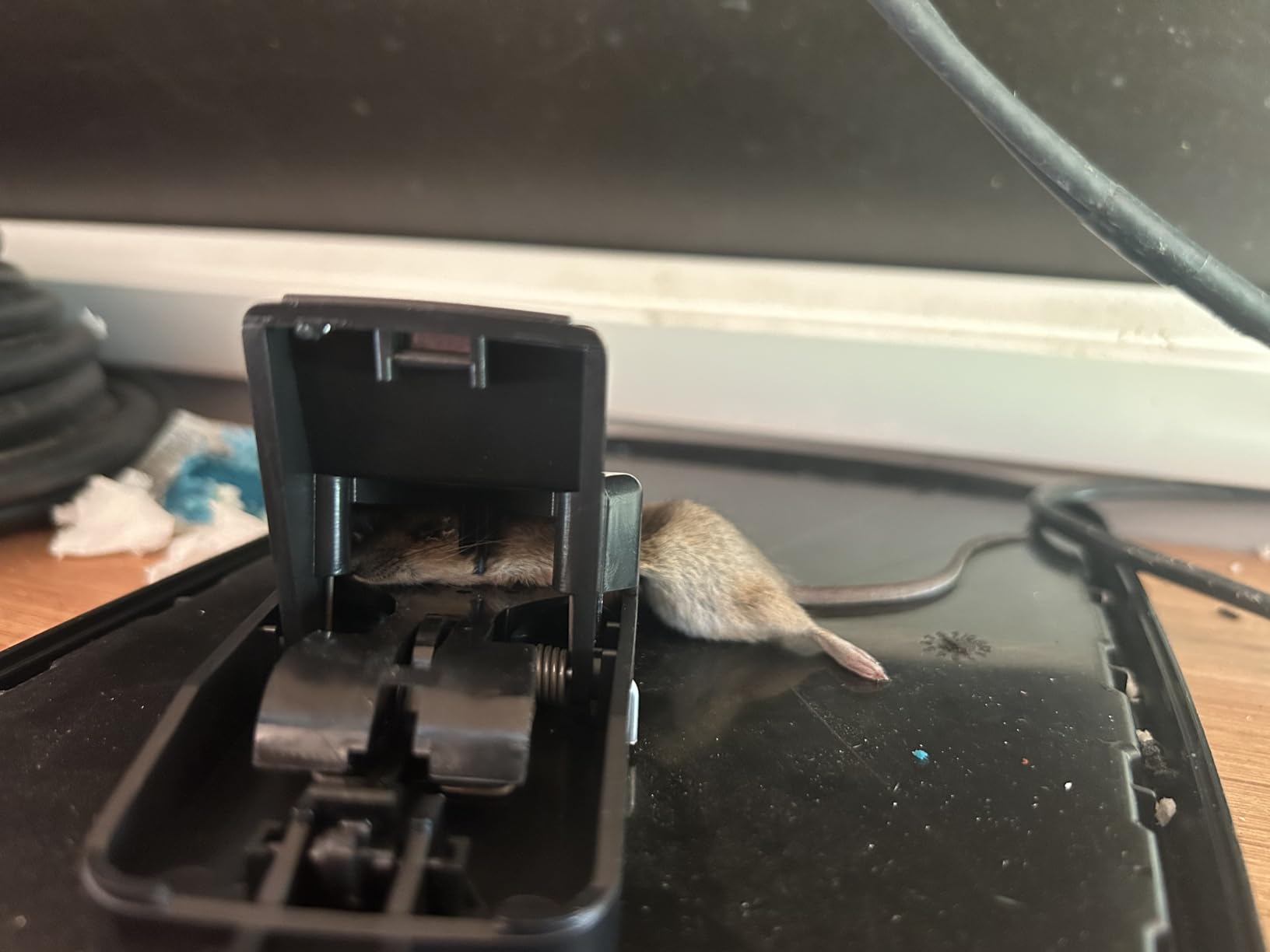Caussade Raticide Canadien pâtes anti-rats 72 appâts 720 g