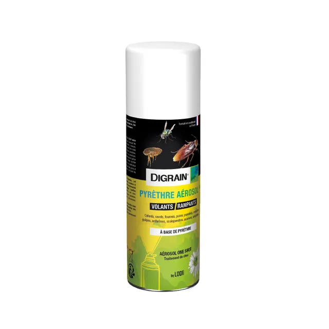Digrain Pyrèthre NG aérosol volants rampants