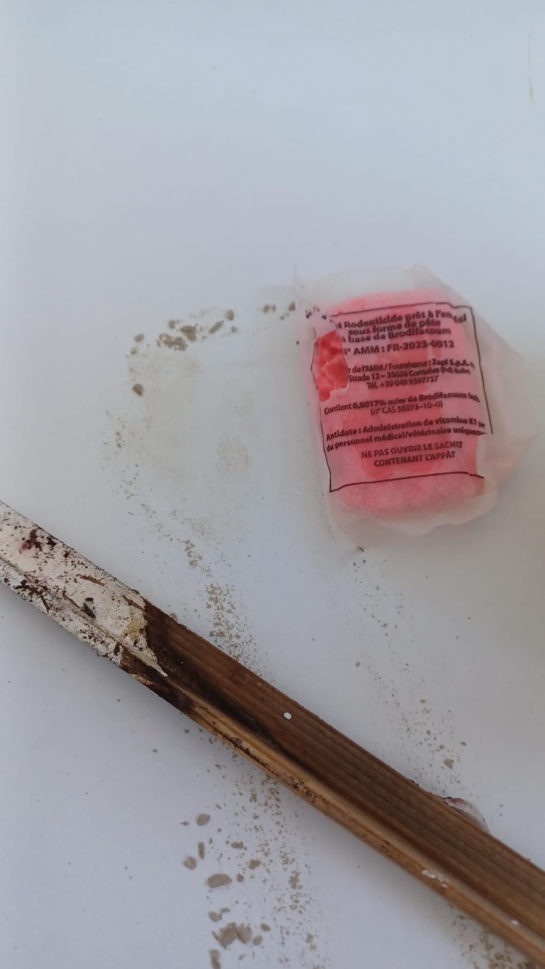 Caussade Anti-Rats & Souris pâte 10 sachets 150g forte infestation