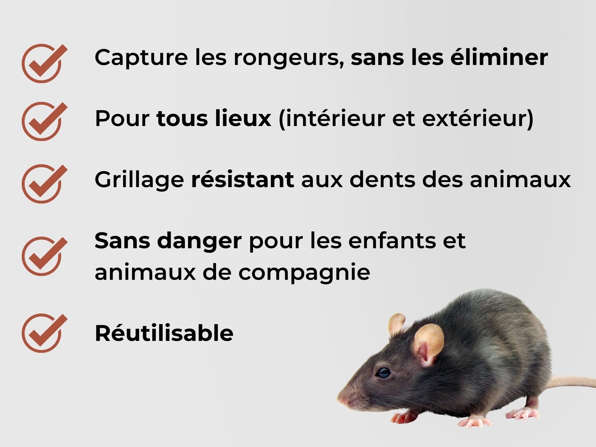 Caussade Nasse Rats 29 cm piège à rats bois vivant