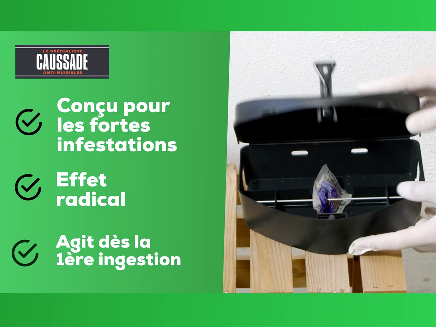 Caussade Raticide Canadien pâtes anti-rats 72 appâts 720 g