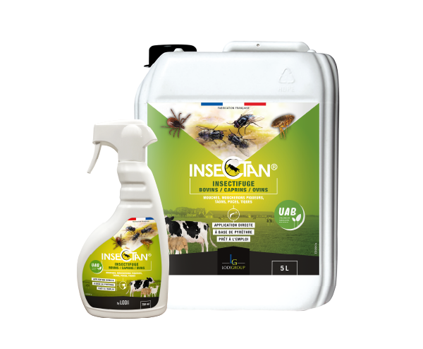 Aurodil Insectan insectifuge bovins spray 750 ml mouches