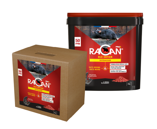 Aurodil Racan Blé Entier raticide seau 5 kg difénacoum