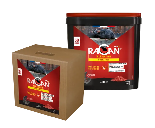 Aurodil Racan Blé Entier raticide seau 5 kg difénacoum