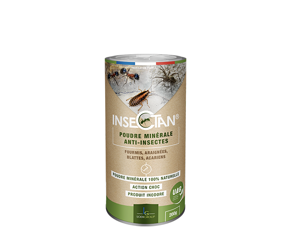Aurodil Insectan poudre minérale anti-insectes poudreur 200 g