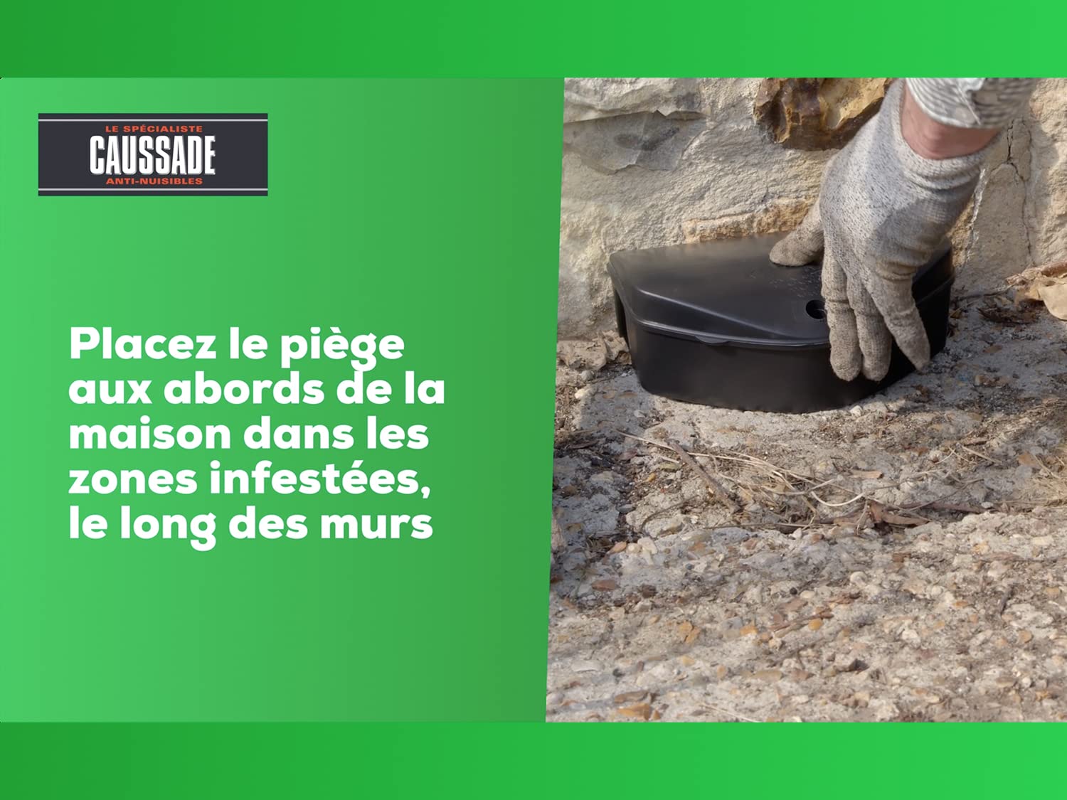 Caussade Raticide Canadien pâtes anti-rats 72 appâts 720 g