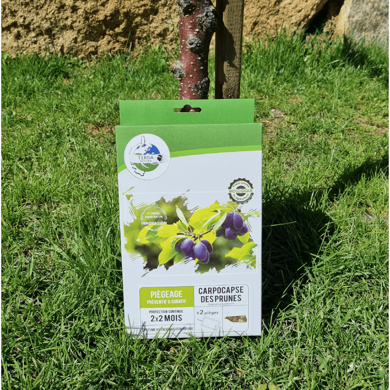 Terra Nostra Carpocapse des Prunes piège x2 plaques