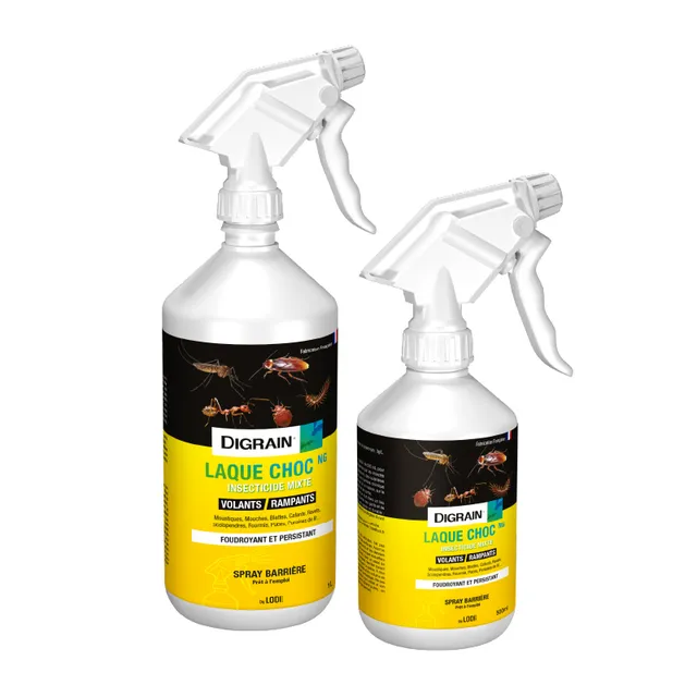 Digrain Laque Choc NG insecticide rampants