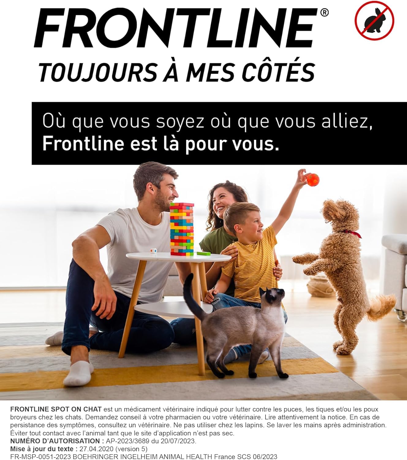 Frontline Spot On Chat antiparasitaire 3 pipettes puces tiques