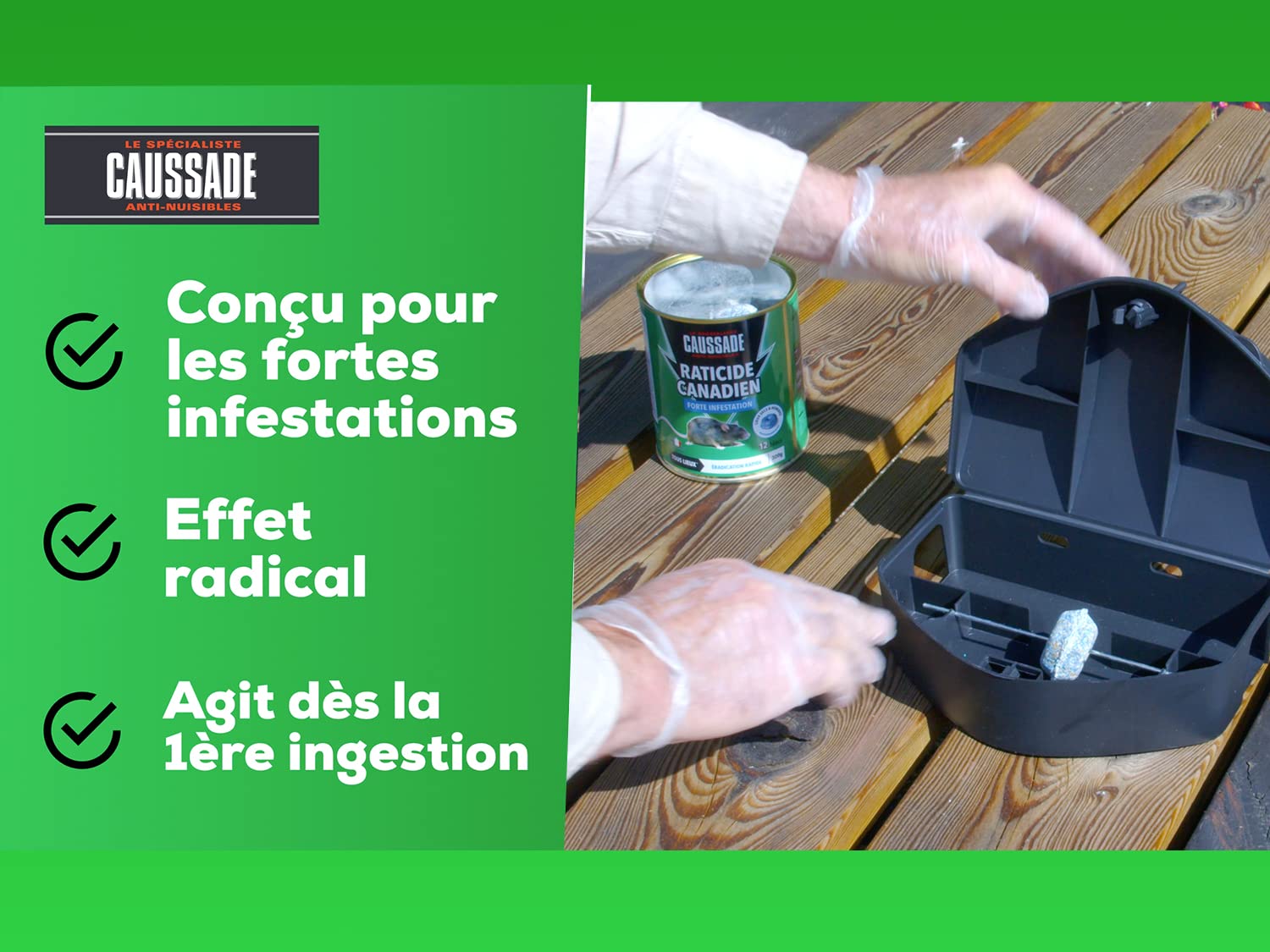 Caussade Raticide Canadien 12 blocs flocoumafen raticide 300g rats