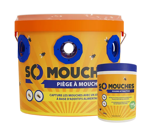 Aurodil SO Mouches piège attractif kit mouches 300 m²