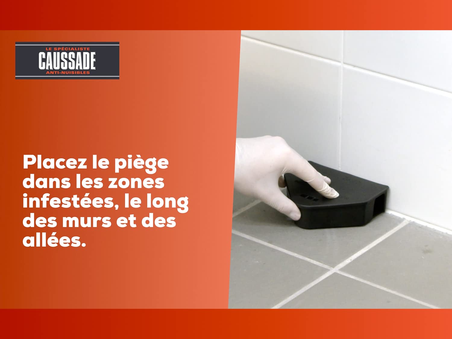 Caussade Raticide Canadien pâte anti-rats 40 appâts 400g