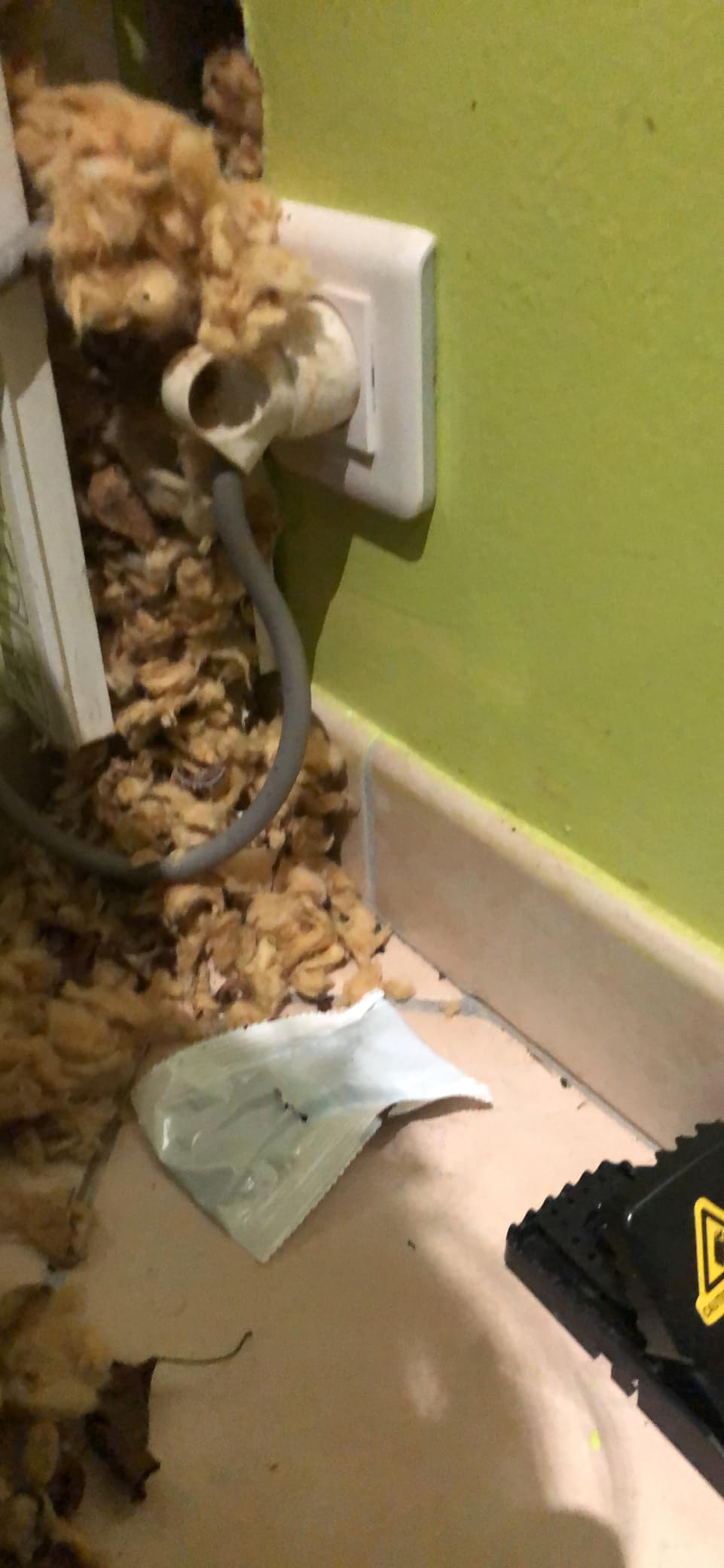 Caussade appât céréales rats souris 7 sachets 140 g action 1ère prise