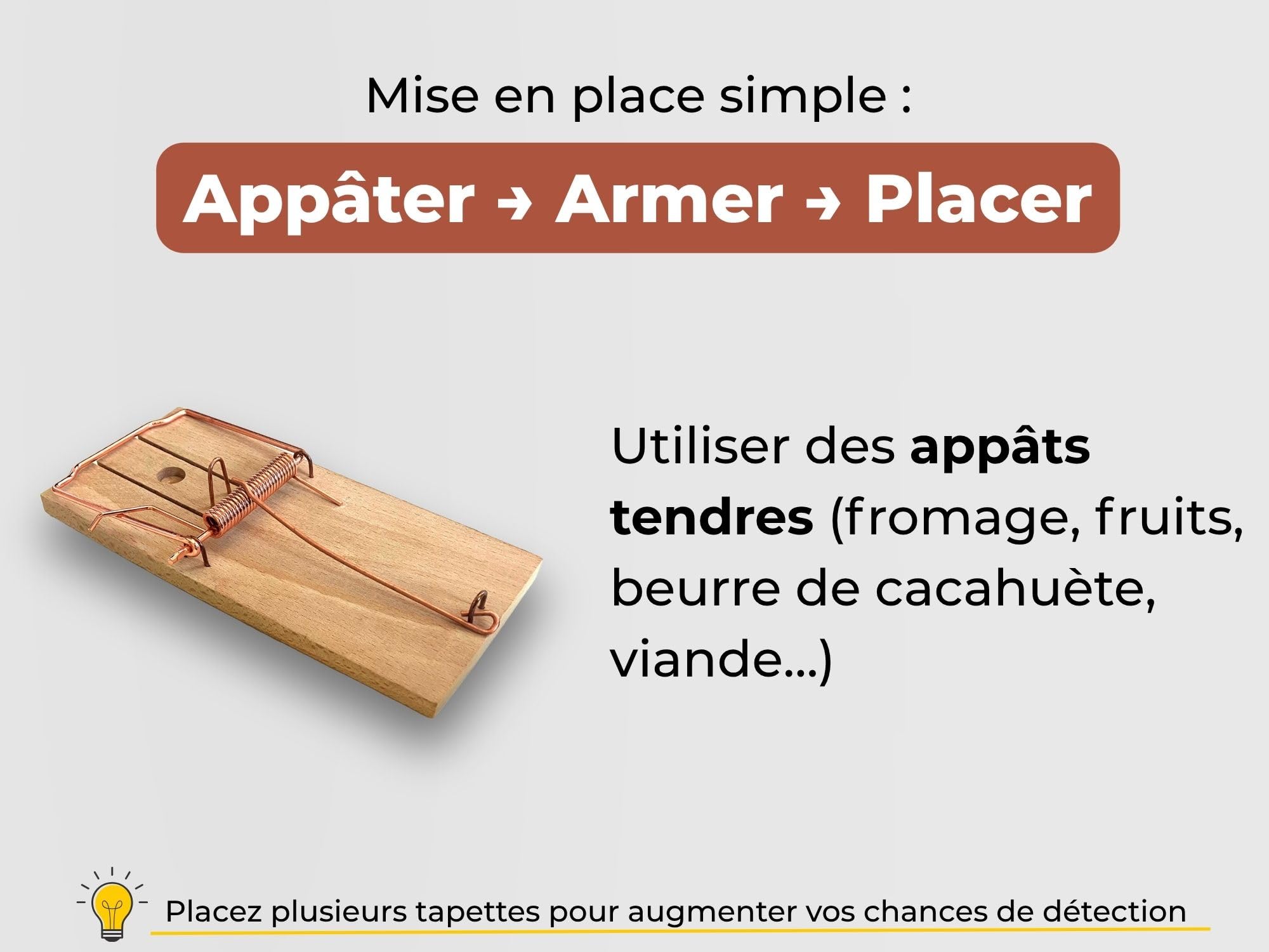 Caussade tapette à souris bois 10 x 4,7 cm 1 pièce réutilisable