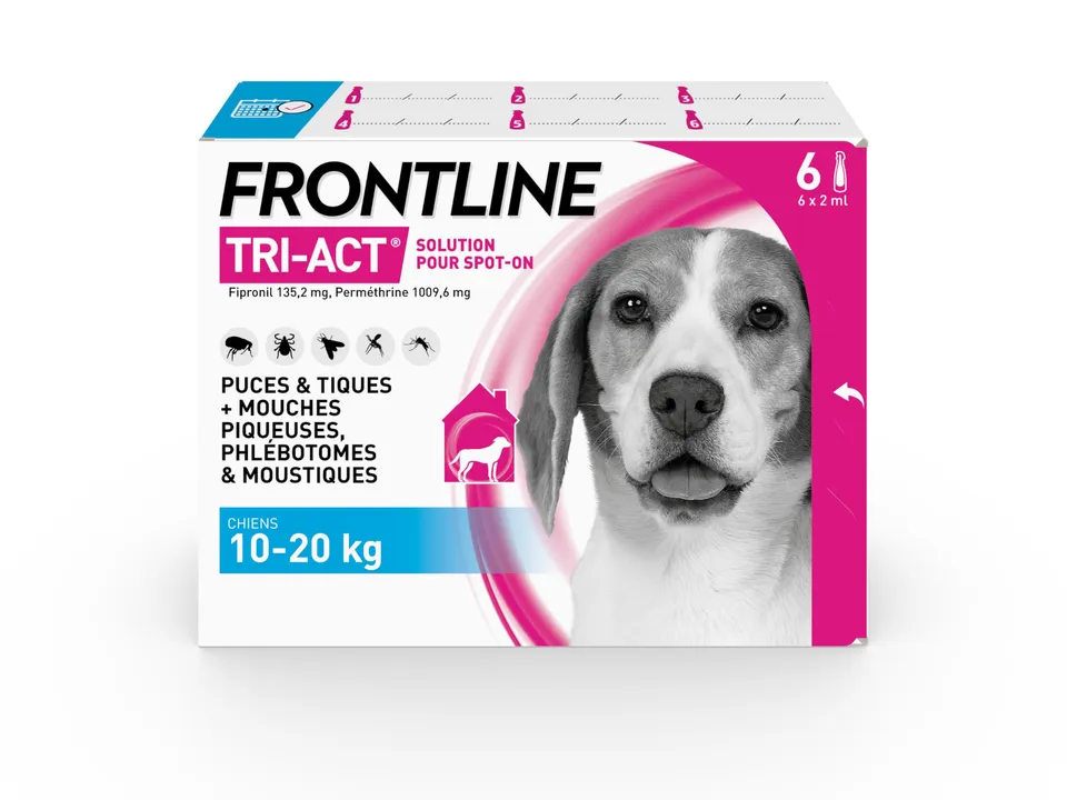 Frontline Tri-Act M pipettes chien 10-20 kg 6 pipettes 5 parasites