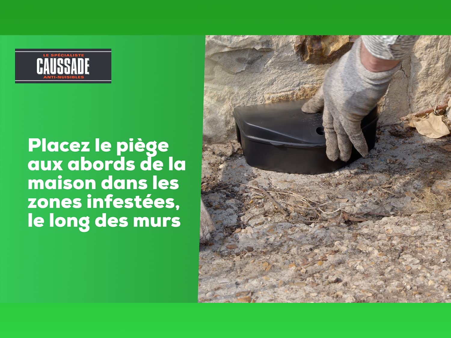 Caussade Raticide Canadien 12 blocs flocoumafen raticide 300g rats
