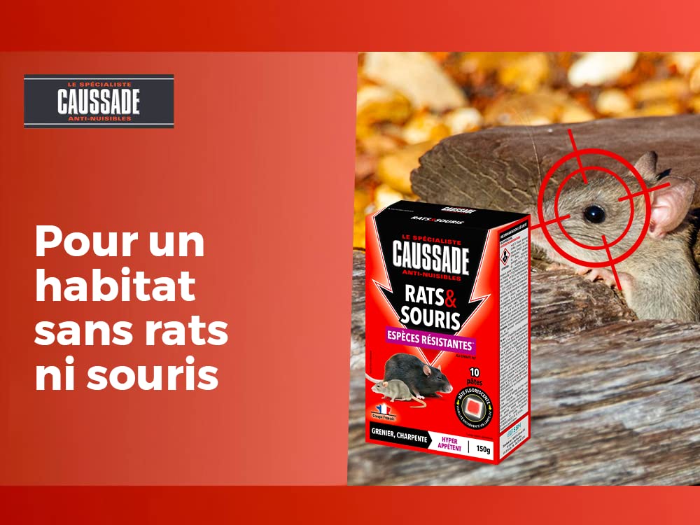 Caussade anti-rats et souris pâtes fluorescent 150 g
