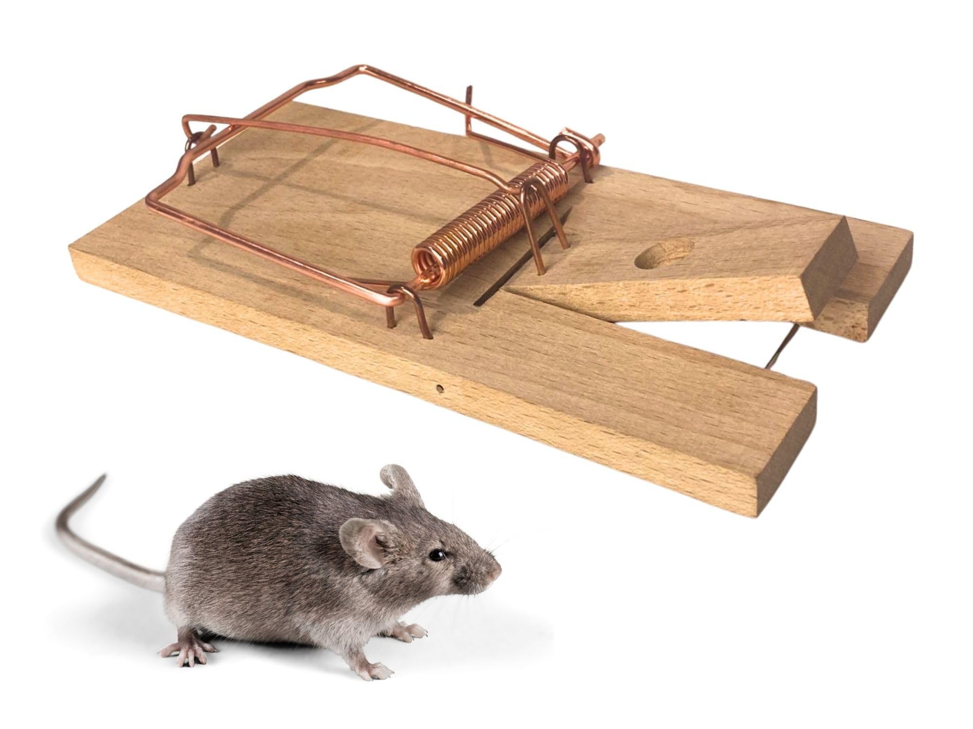 Caussade tapette à souris bois 10 x 4,7 cm 1 pièce réutilisable