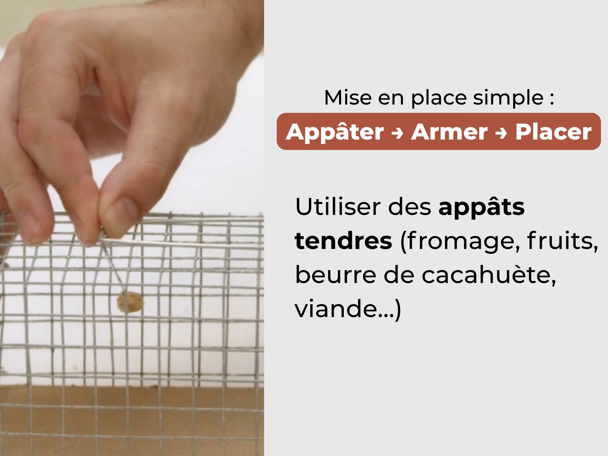 Caussade Nasse Rats 29 cm piège à rats bois vivant