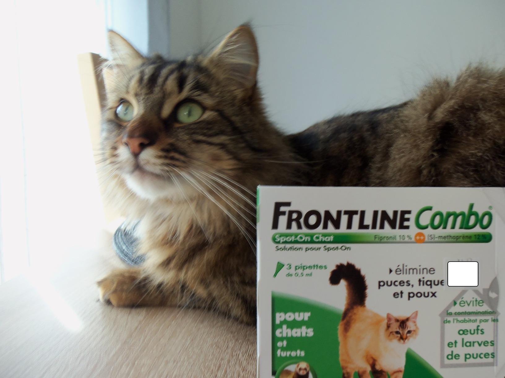Frontline Combo Chat spot-on antiparasitaire 6 pipettes anti-larves
