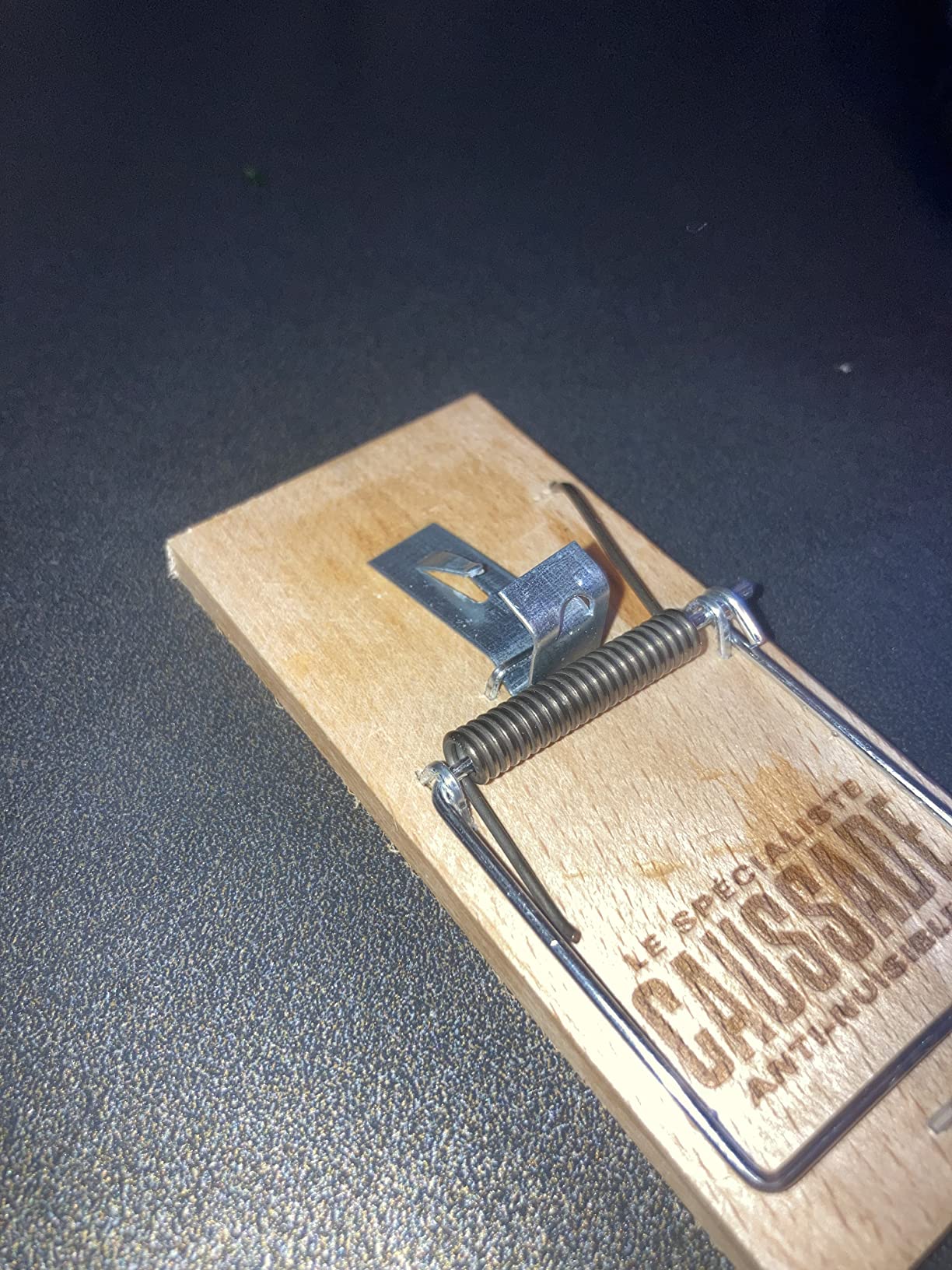 Caussade tapette à souris bois 10 x 4,7 cm 1 pièce réutilisable