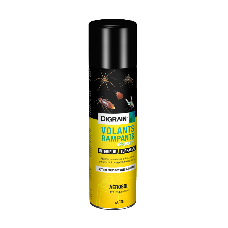 Digrain NG aérosol insecticide volants rampants